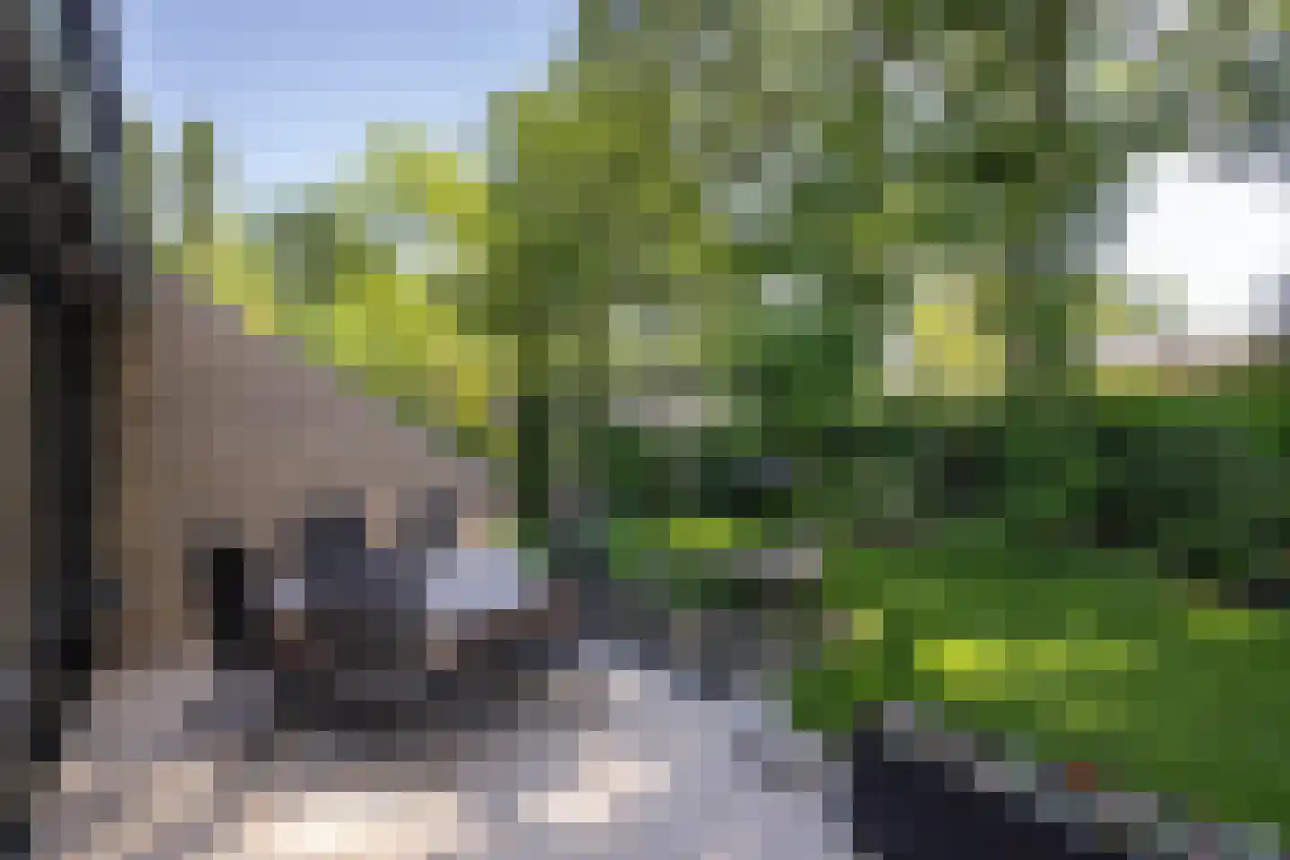 Kerkedennen 59 Borne thumbnail 32