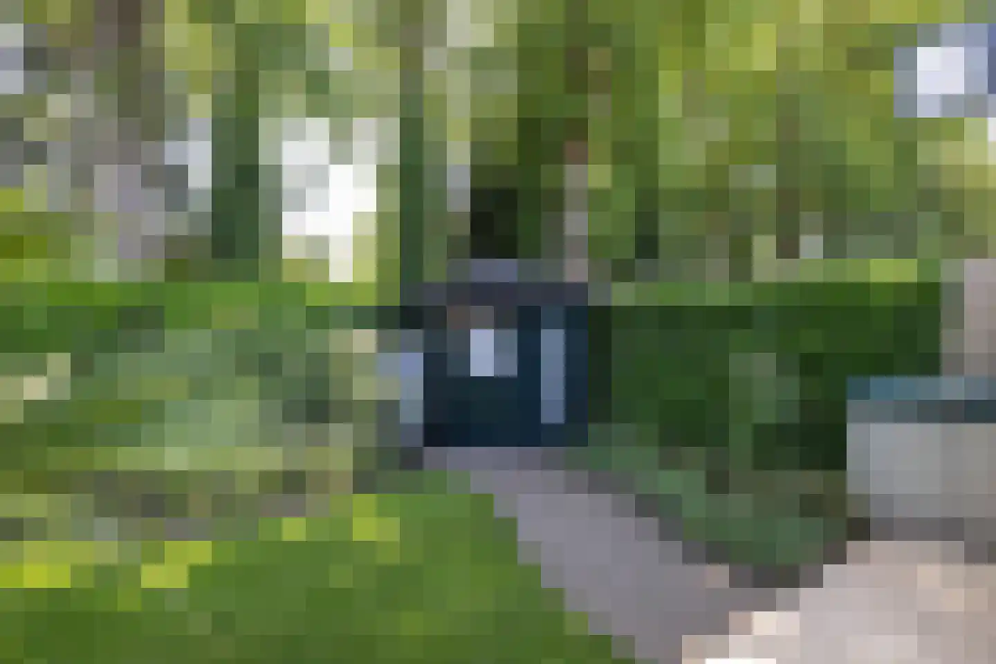 Kerkedennen 59 Borne thumbnail 34