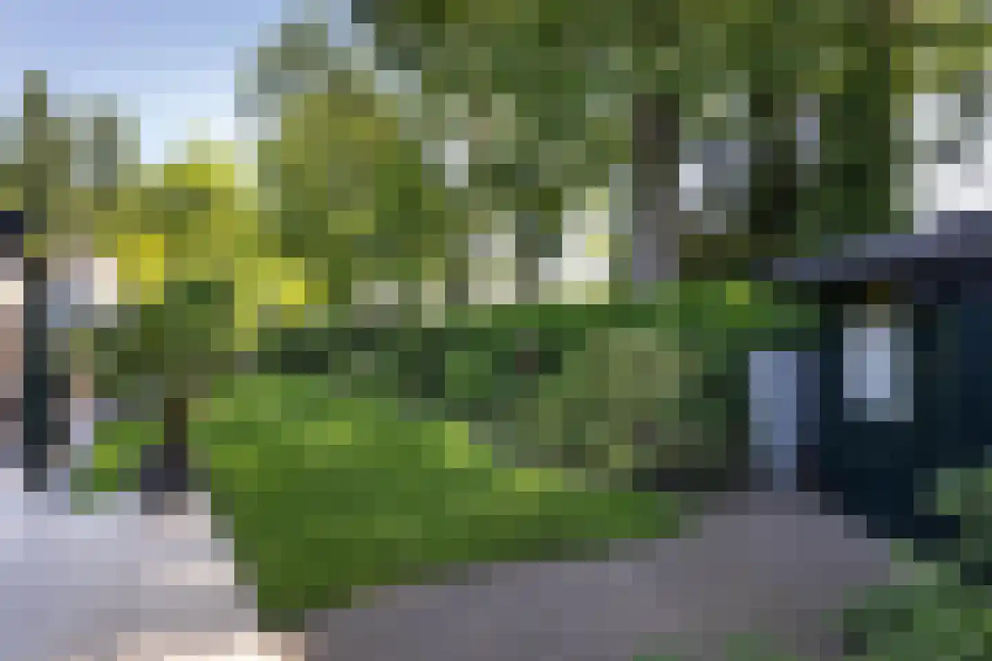 Kerkedennen 59 Borne thumbnail 35