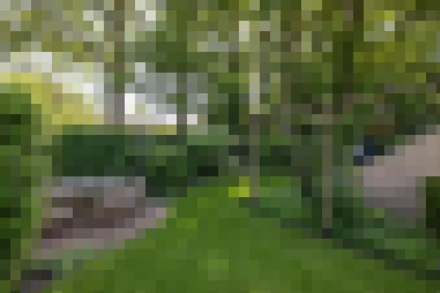 Kerkedennen 59 Borne thumbnail 39