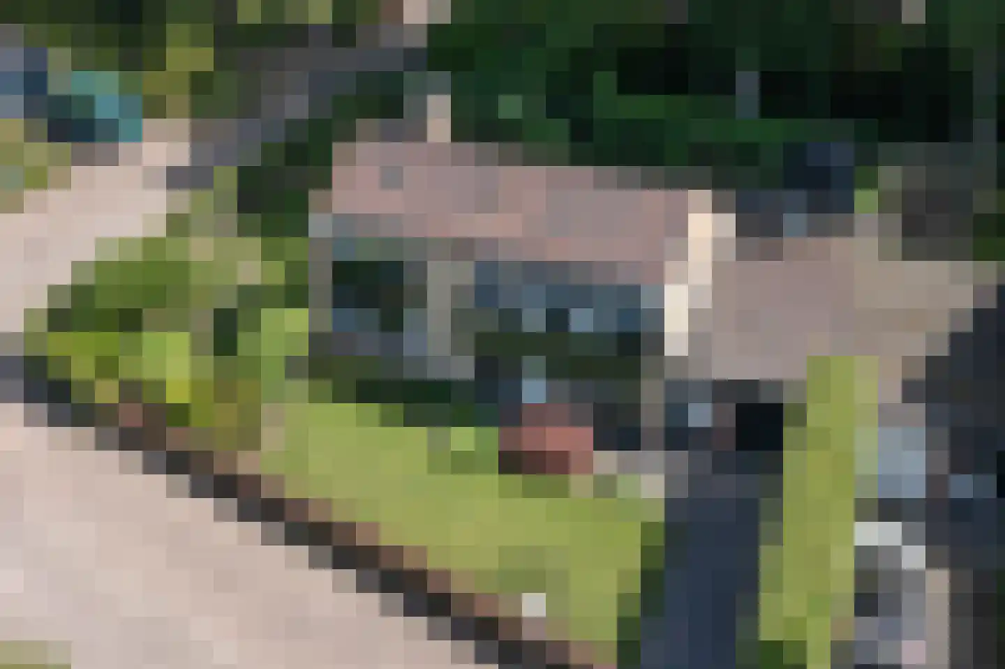 Kerkedennen 59 Borne thumbnail 46