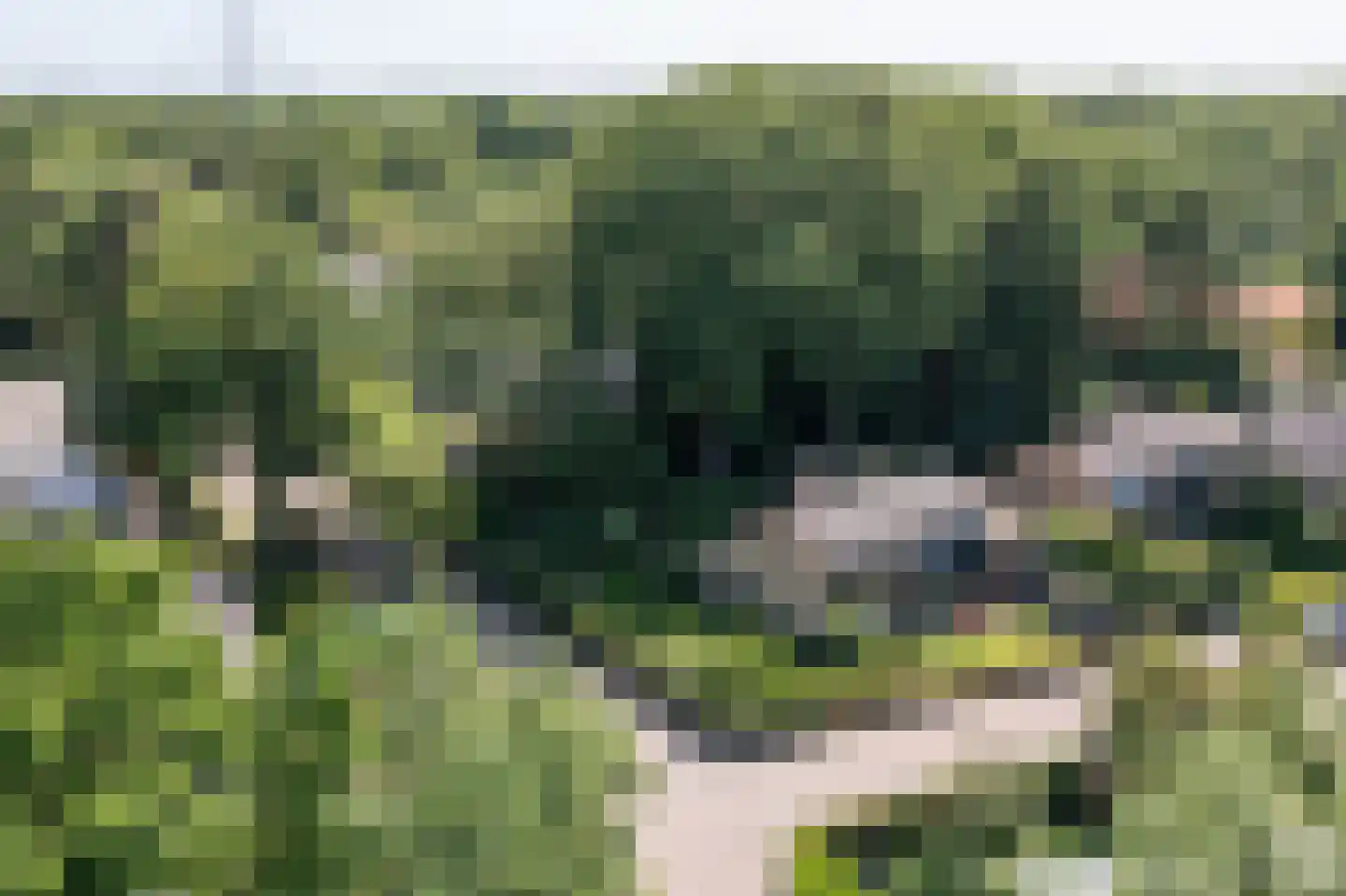 Kerkedennen 59 Borne thumbnail 48