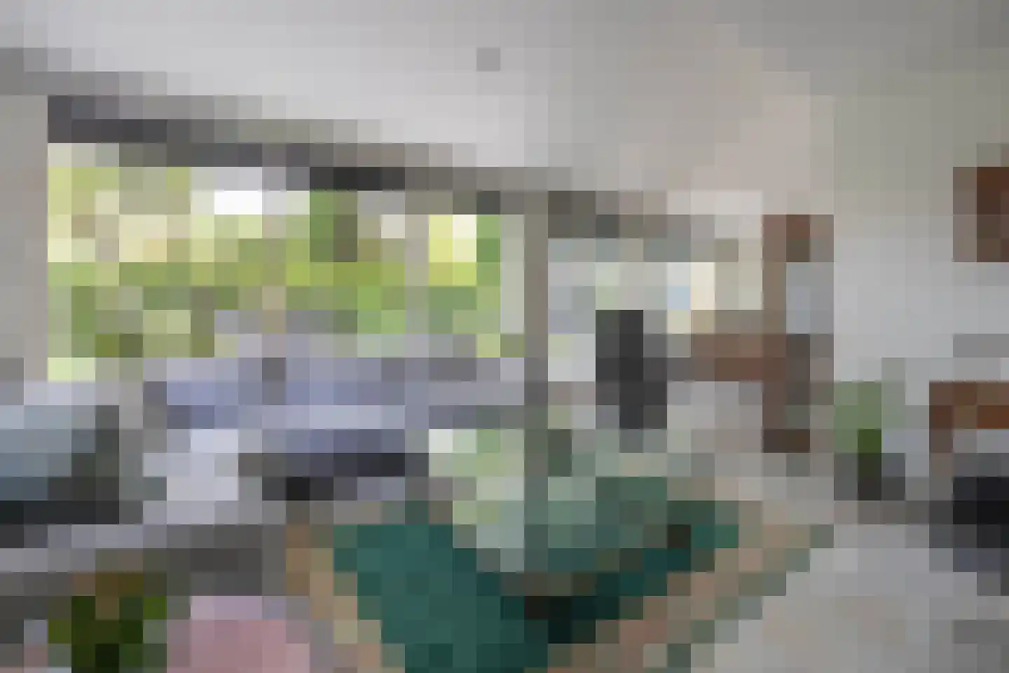 Kerkedennen 59 Borne thumbnail 5