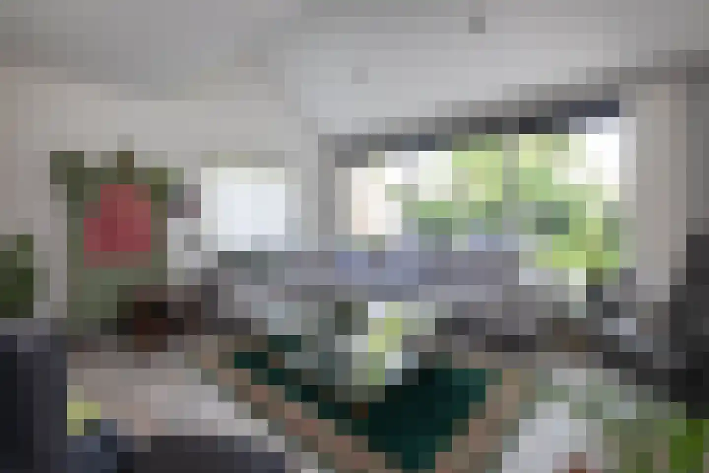 Kerkedennen 59 Borne thumbnail 6