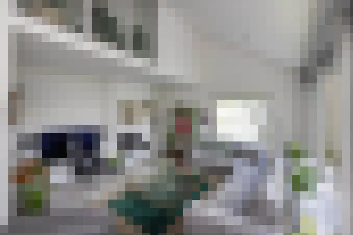 Kerkedennen 59 Borne thumbnail 7