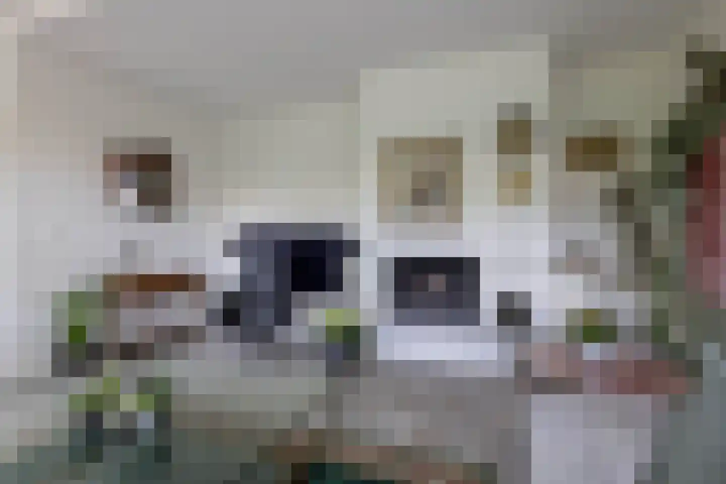 Kerkedennen 59 Borne thumbnail 8