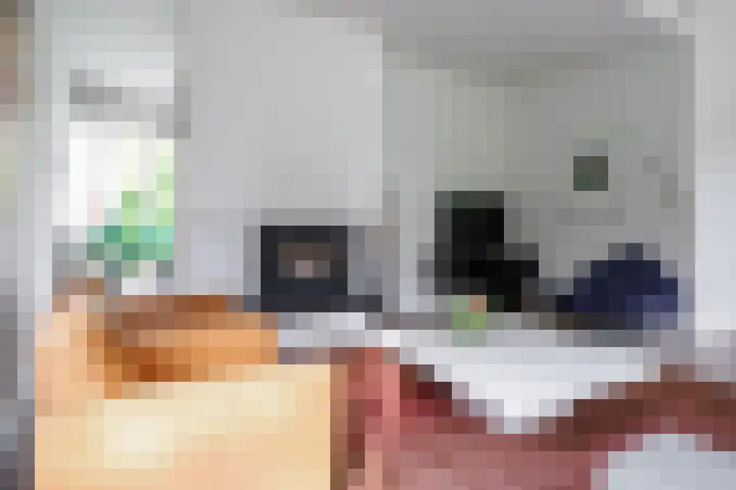 Kerkedennen 73 Borne thumbnail 17