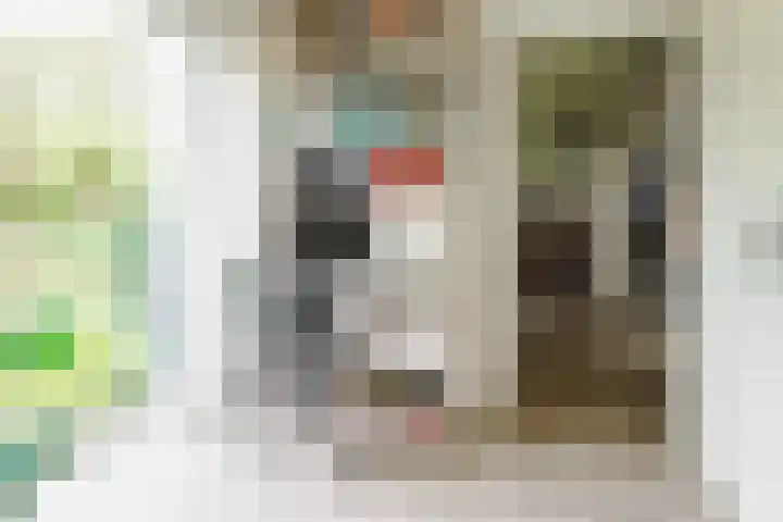 Kerkedennen 73 Borne thumbnail 19