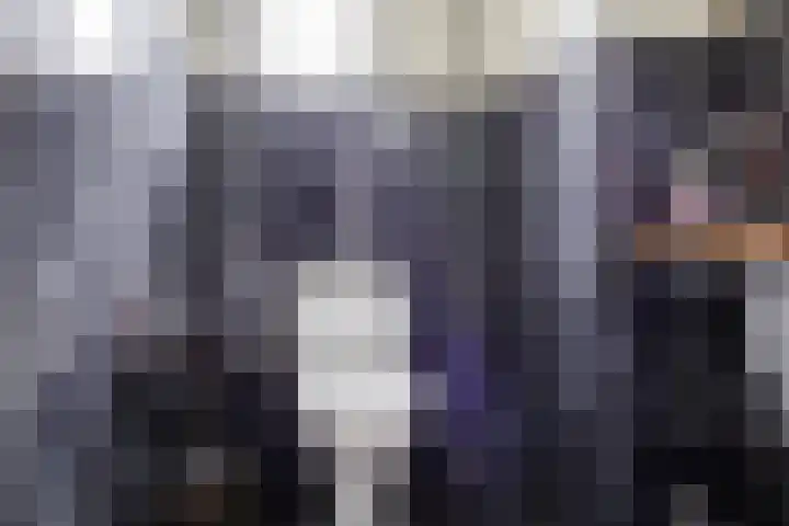 Kerkedennen 73 Borne thumbnail 20