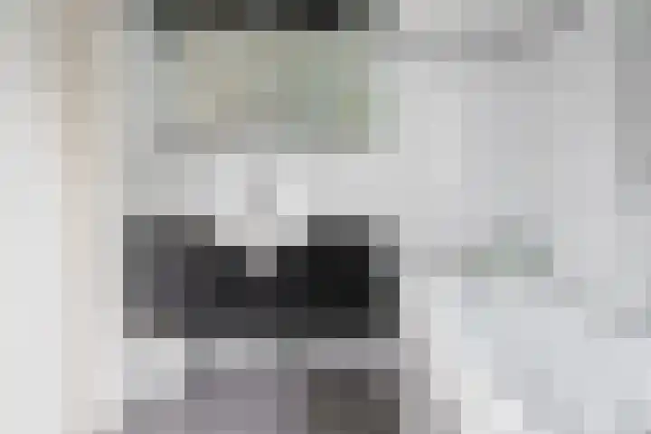 Kerkedennen 73 Borne thumbnail 24
