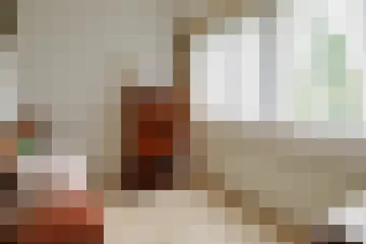 Kerkedennen 73 Borne thumbnail 27