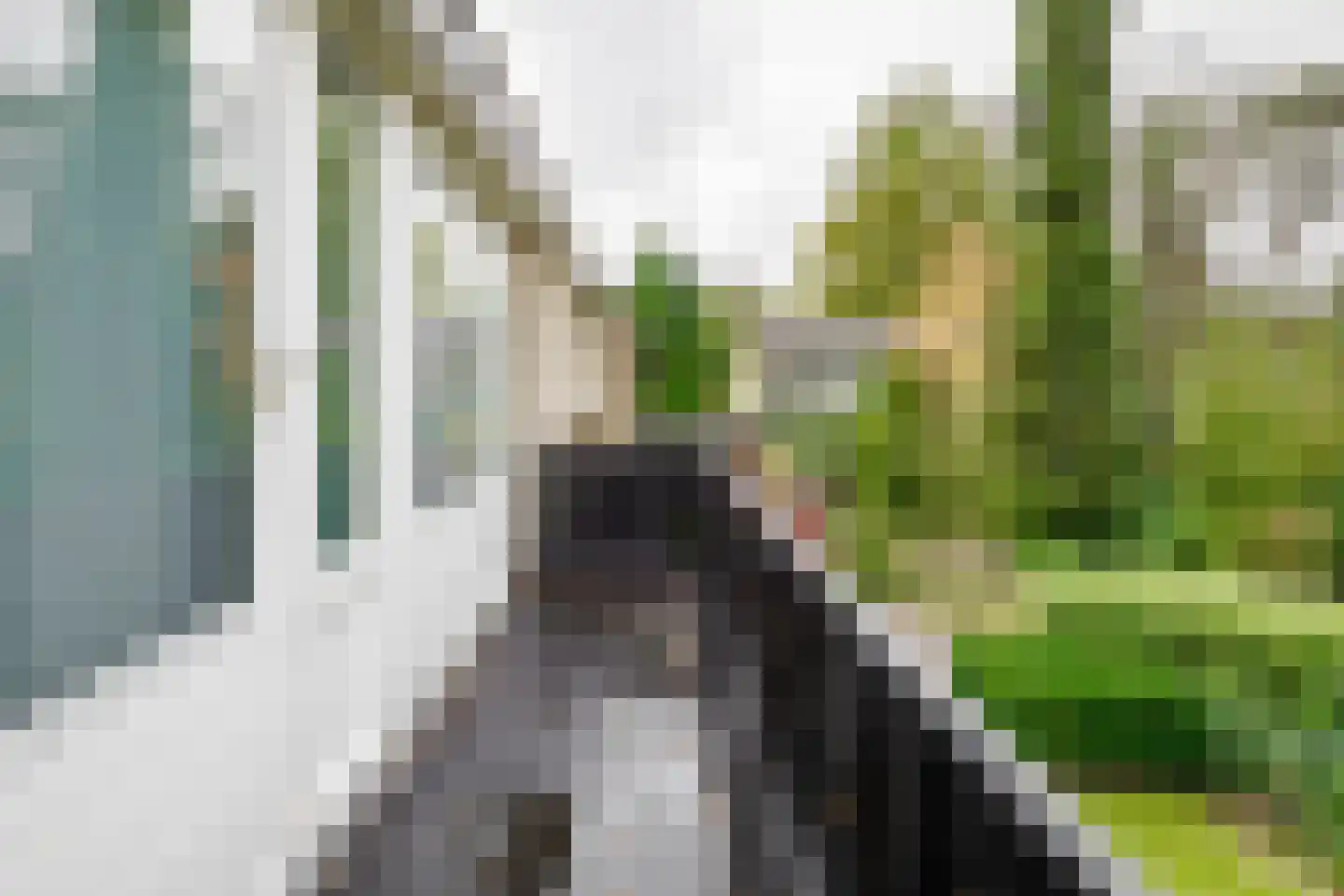 Kerkedennen 73 Borne thumbnail 30