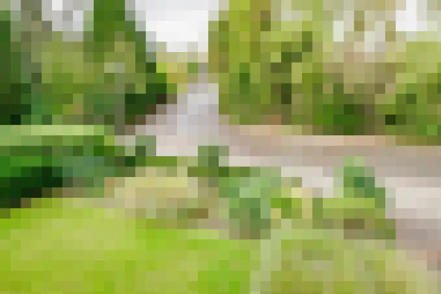 Kerkedennen 73 Borne thumbnail 31