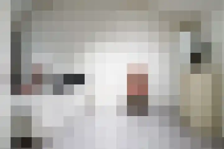 Kerkedennen 73 Borne thumbnail 32