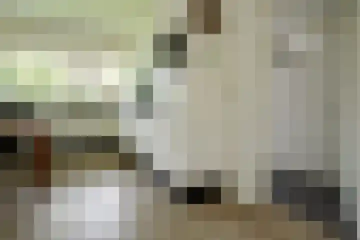 Kerkedennen 73 Borne thumbnail 34