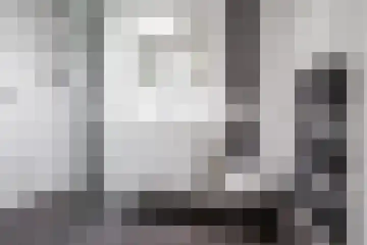 Kerkedennen 73 Borne thumbnail 39