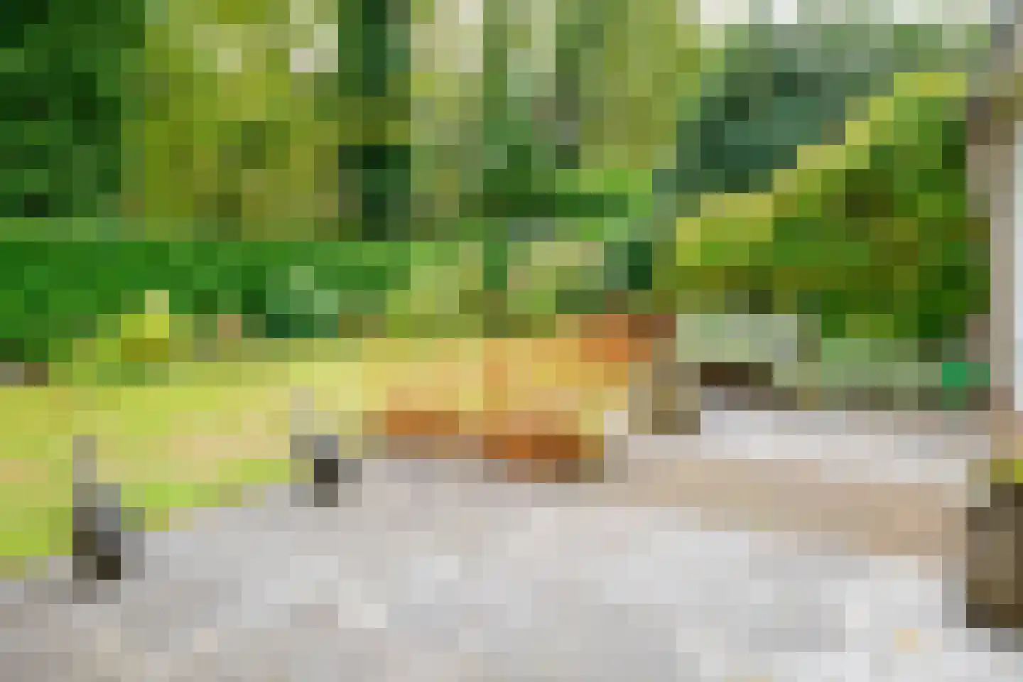 Kerkedennen 73 Borne thumbnail 44