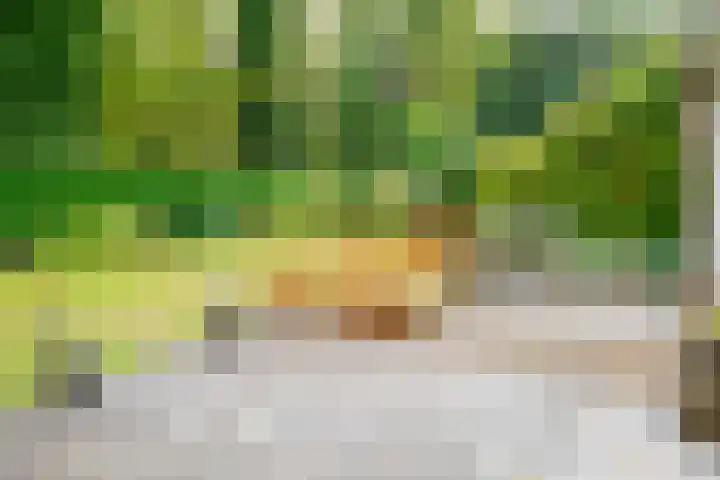 Kerkedennen 73 Borne thumbnail 44