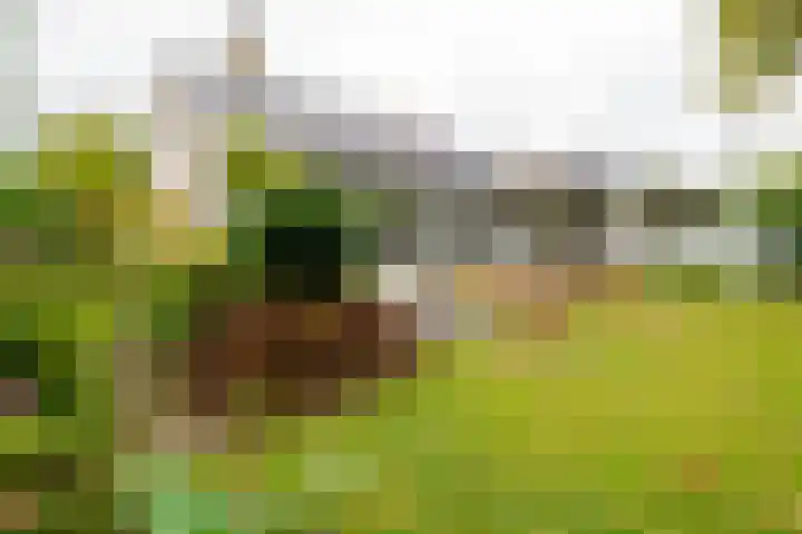 Kerkedennen 73 Borne thumbnail 46