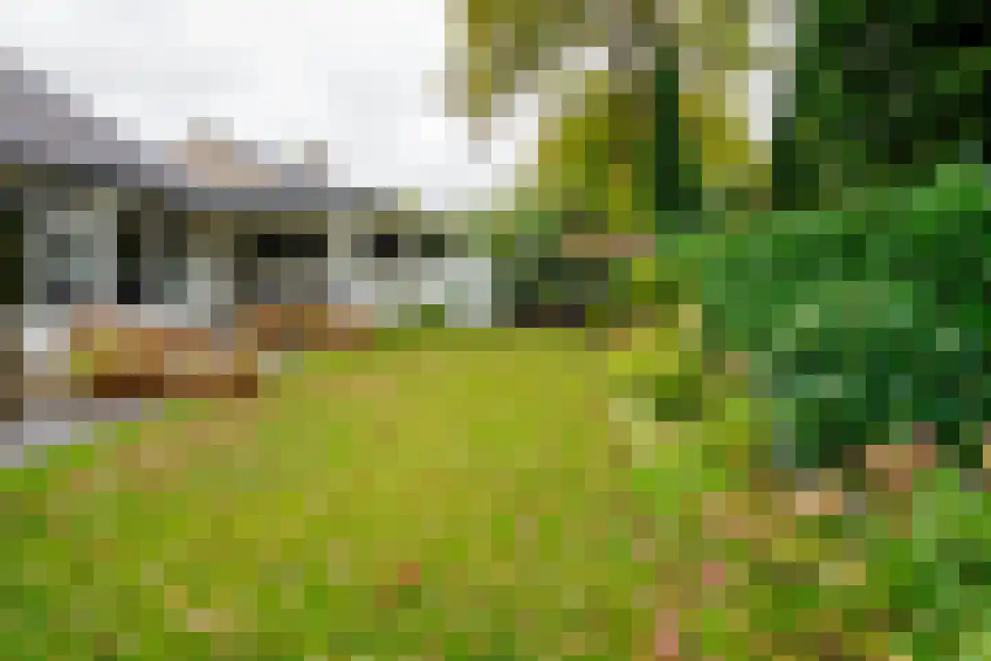 Kerkedennen 73 Borne thumbnail 47