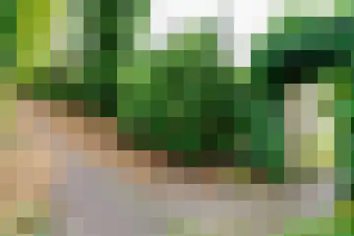 Kerkedennen 73 Borne thumbnail 49