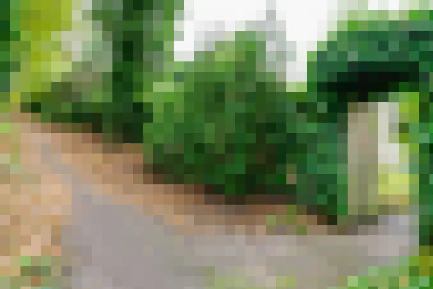 Kerkedennen 73 Borne thumbnail 49