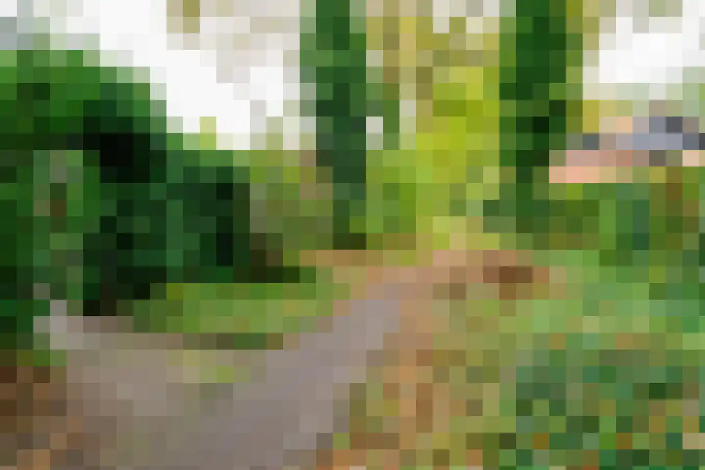 Kerkedennen 73 Borne thumbnail 50