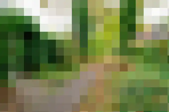 Kerkedennen 73 Borne thumbnail 50