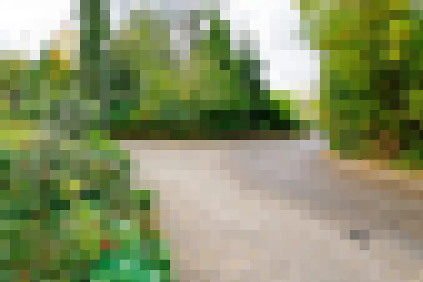 Kerkedennen 73 Borne thumbnail 56