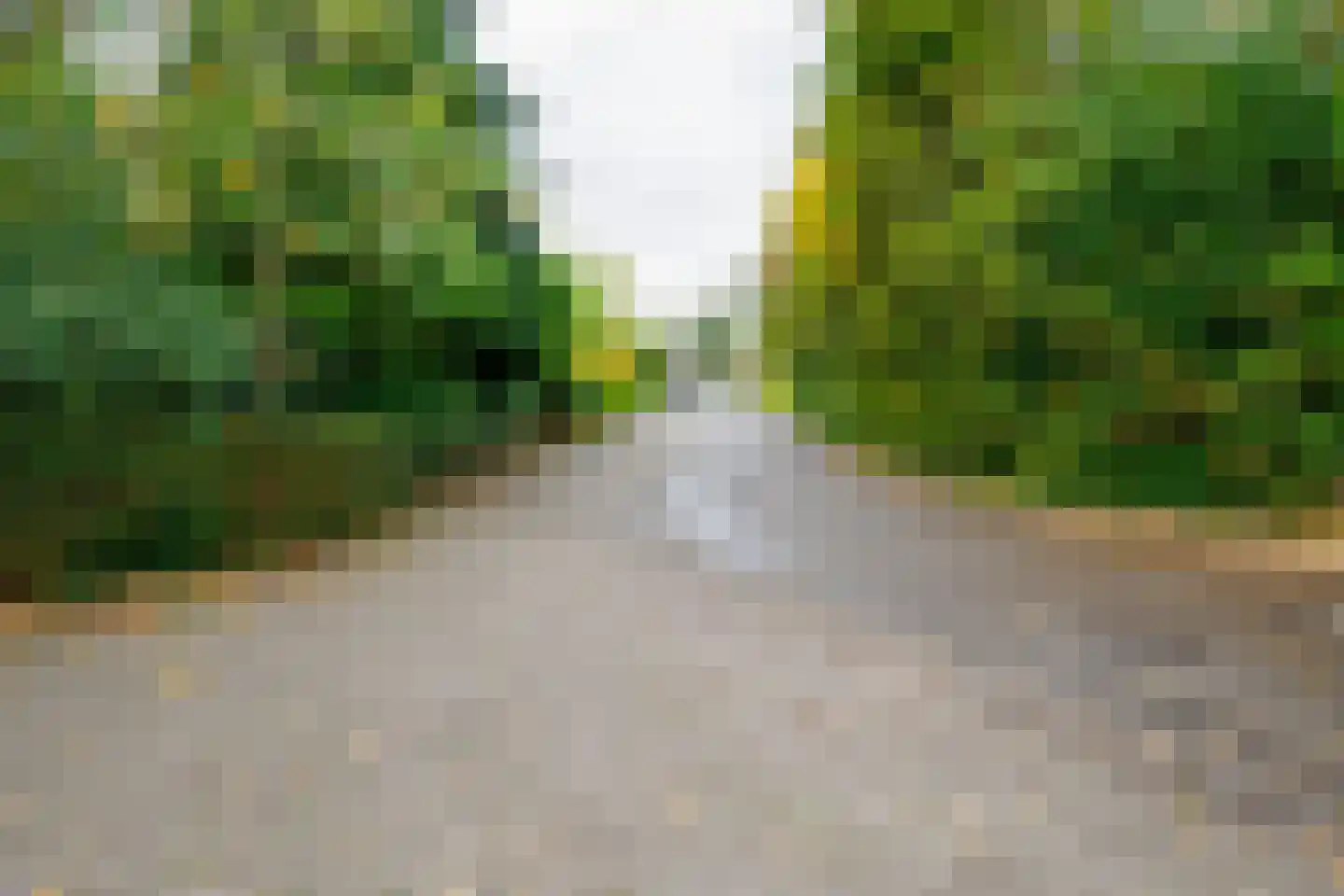 Kerkedennen 73 Borne thumbnail 57