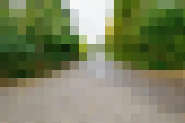 Kerkedennen 73 Borne thumbnail 57
