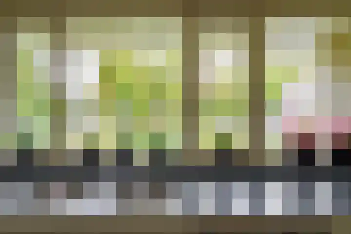 Kerkedennen 73 Borne thumbnail 6