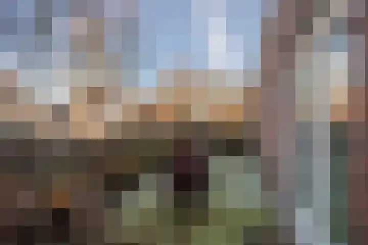 Kerkeind 11 g Milheeze thumbnail 20