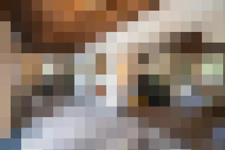 Kerkeind 12 Arkel thumbnail 10