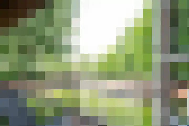 Kerkeind 12 Arkel thumbnail 45