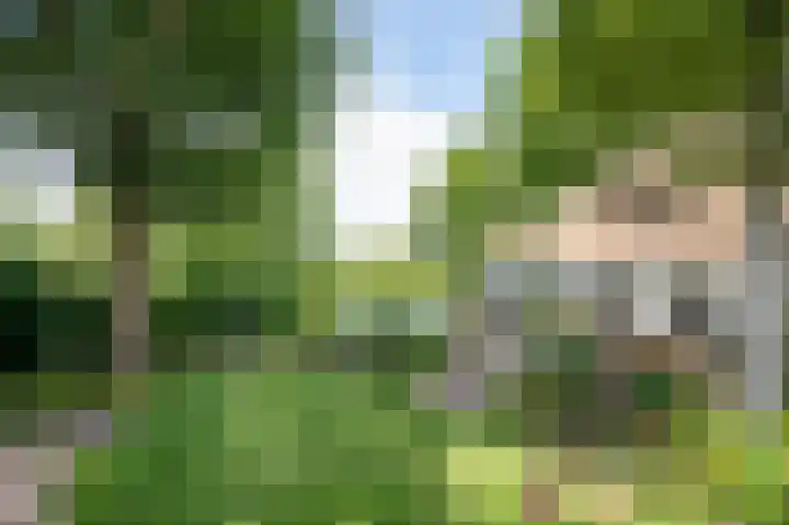 Kerkeind 12 Arkel thumbnail 50