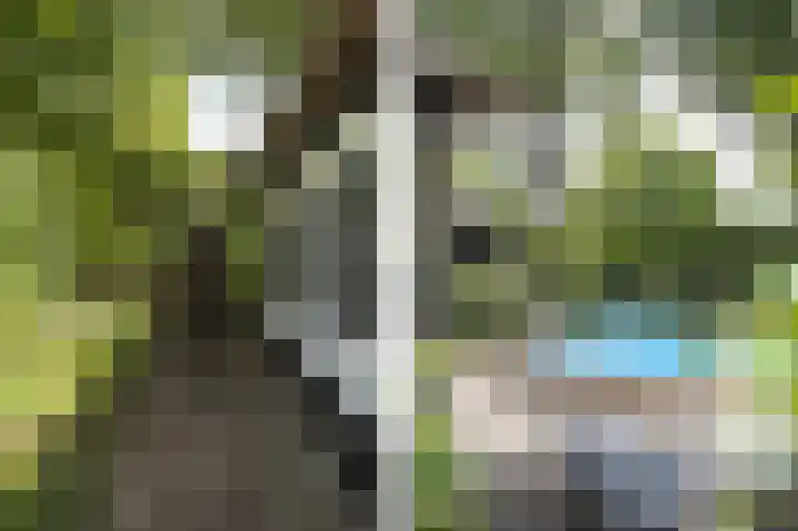 Kerkeind 12 Arkel thumbnail 56