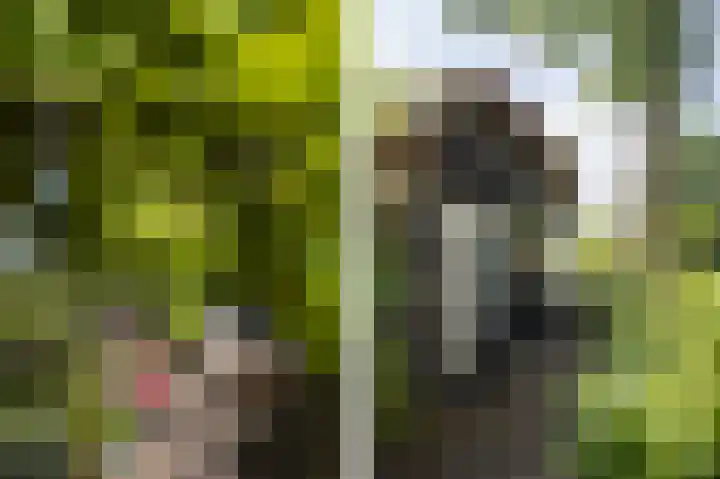 Kerkeind 12 Arkel thumbnail 58