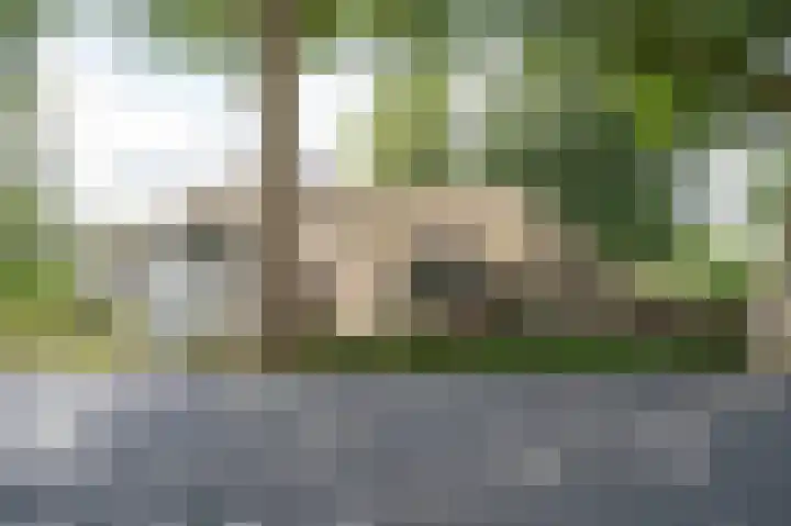 Kerkeind 12 Arkel thumbnail 62