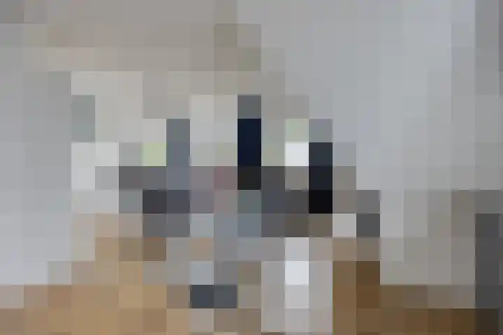 Kerkeind 13 d Milheeze thumbnail 17