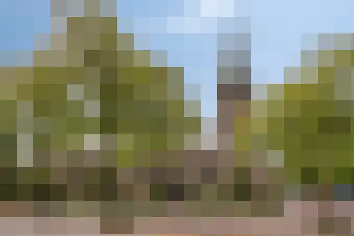 Kerkeind 13 d Milheeze thumbnail 26