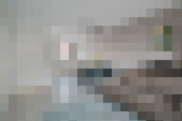 Kerkeind 13 Valkenswaard thumbnail 12