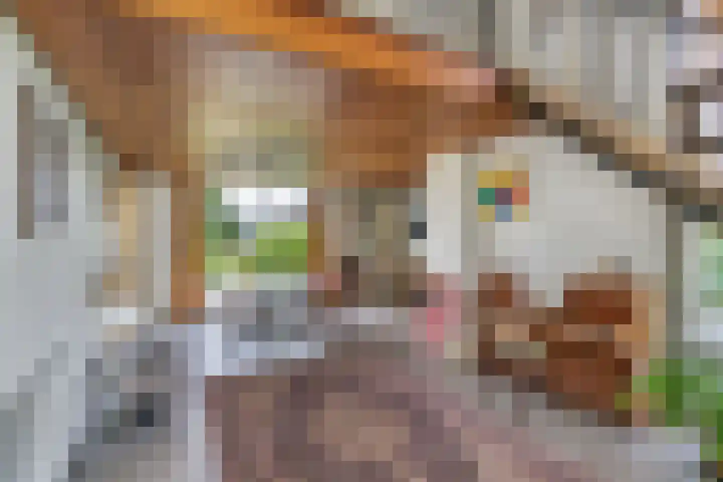 Kerkeind 18 Gemonde thumbnail 10