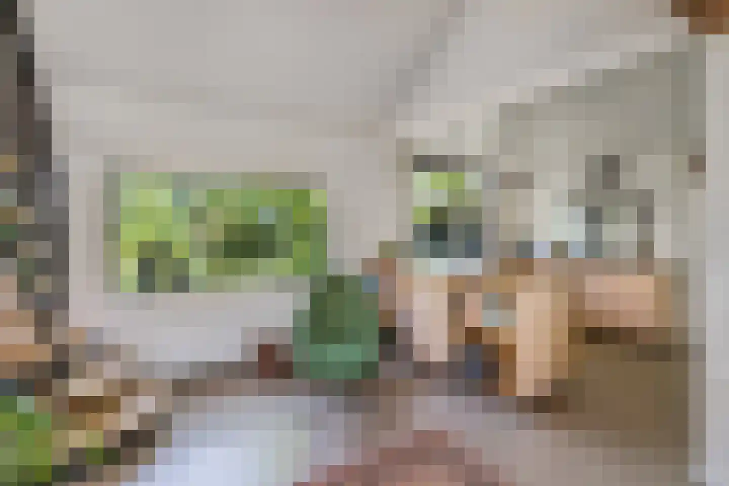 Kerkeind 18 Gemonde thumbnail 12