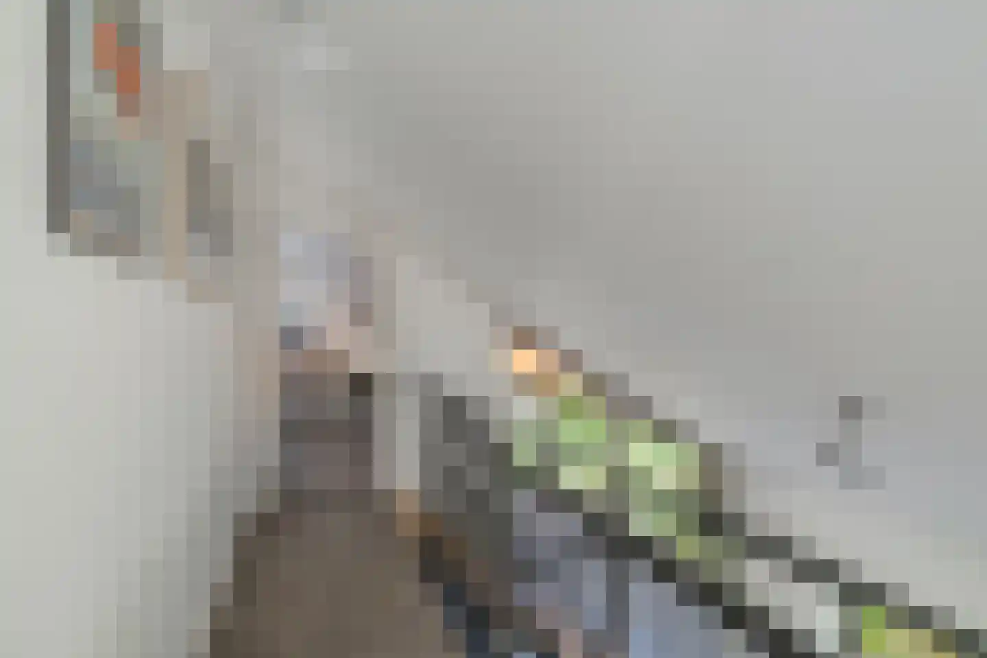 Kerkeind 18 Gemonde thumbnail 19