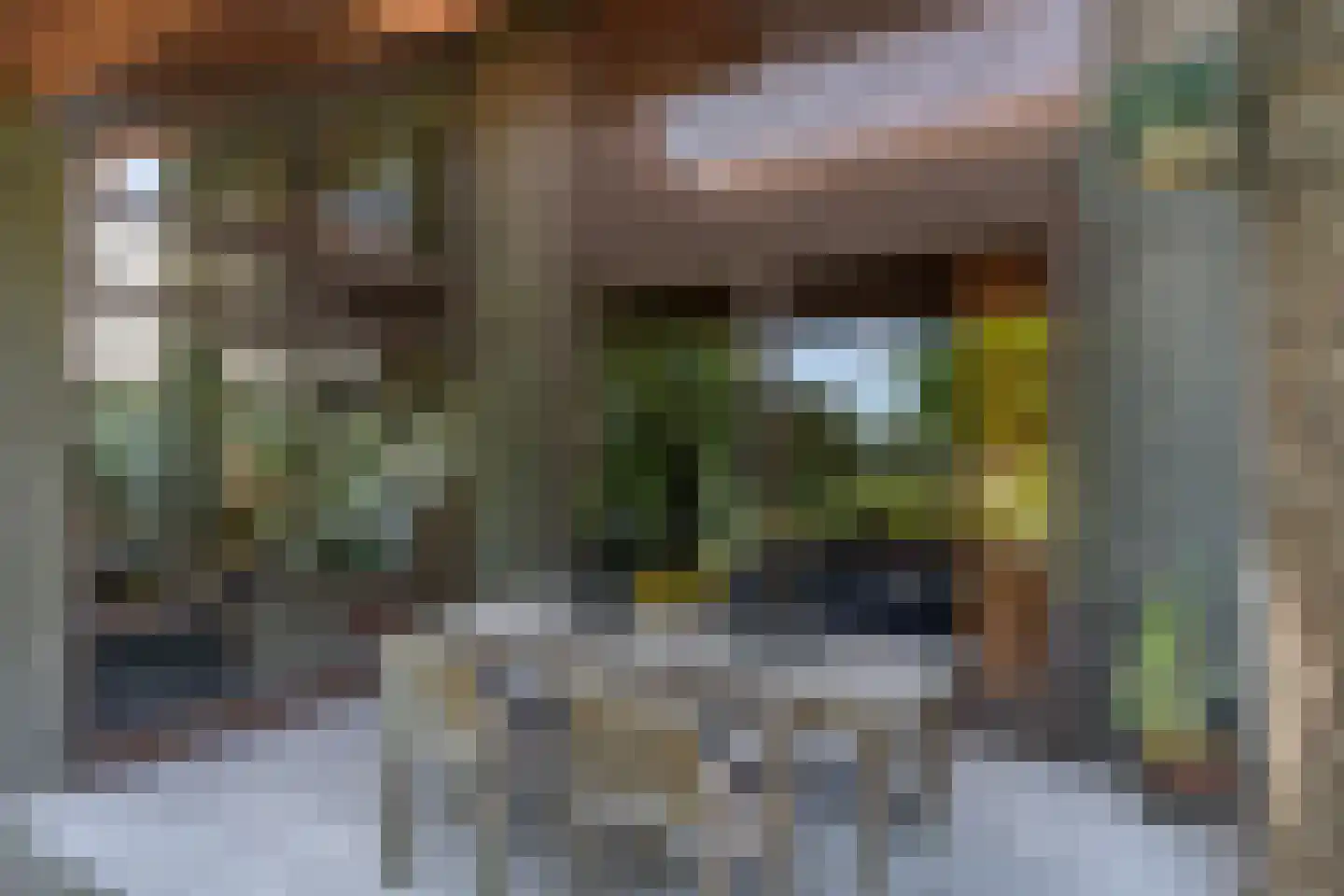 Kerkeind 18 Gemonde thumbnail 29
