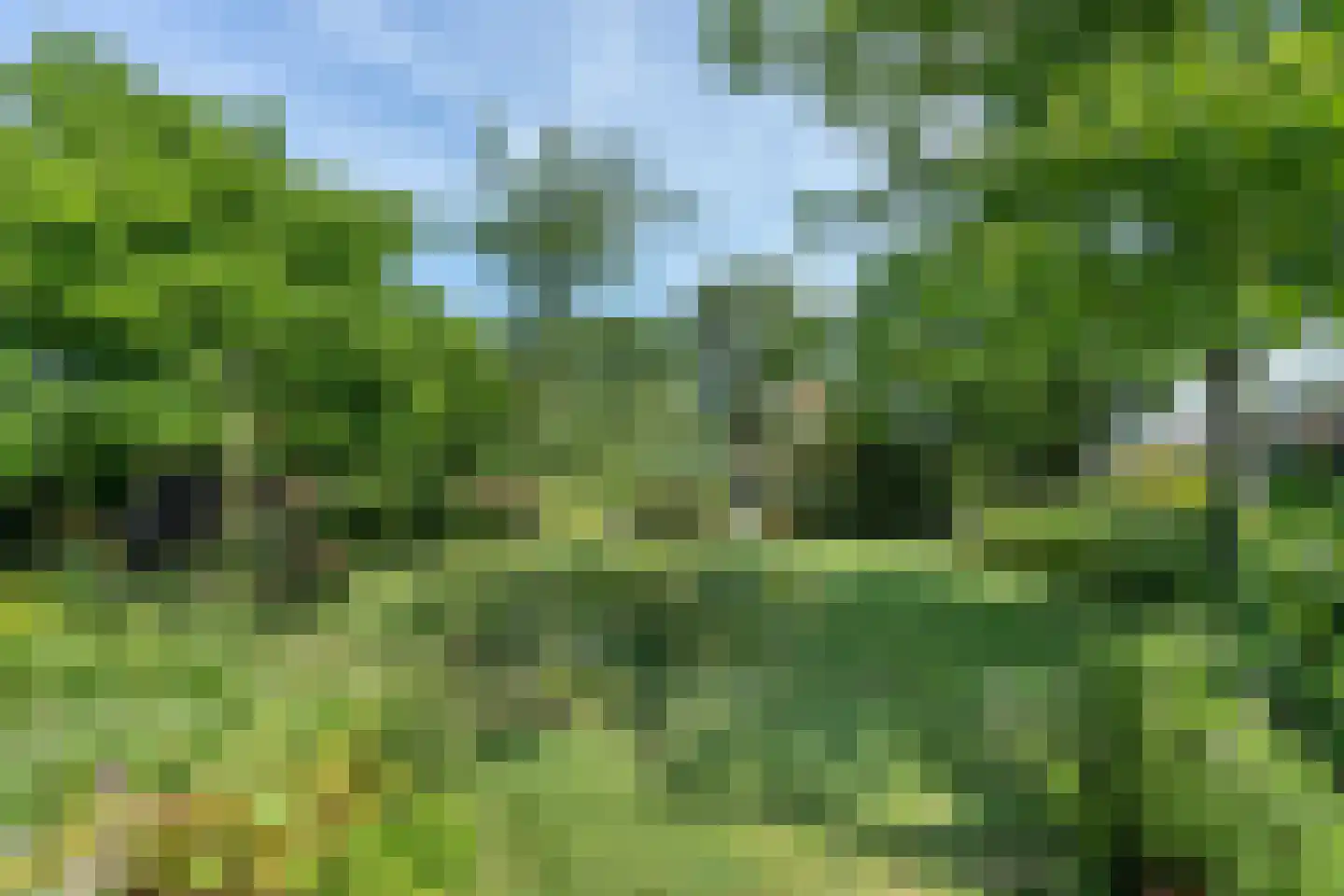 Kerkeind 18 Gemonde thumbnail 30