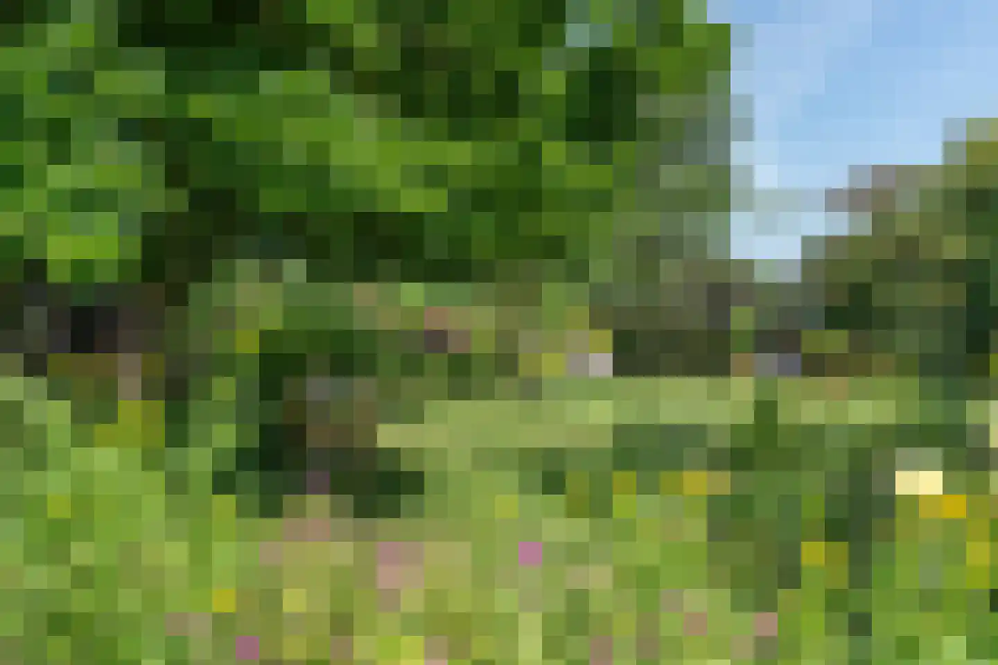 Kerkeind 18 Gemonde thumbnail 33
