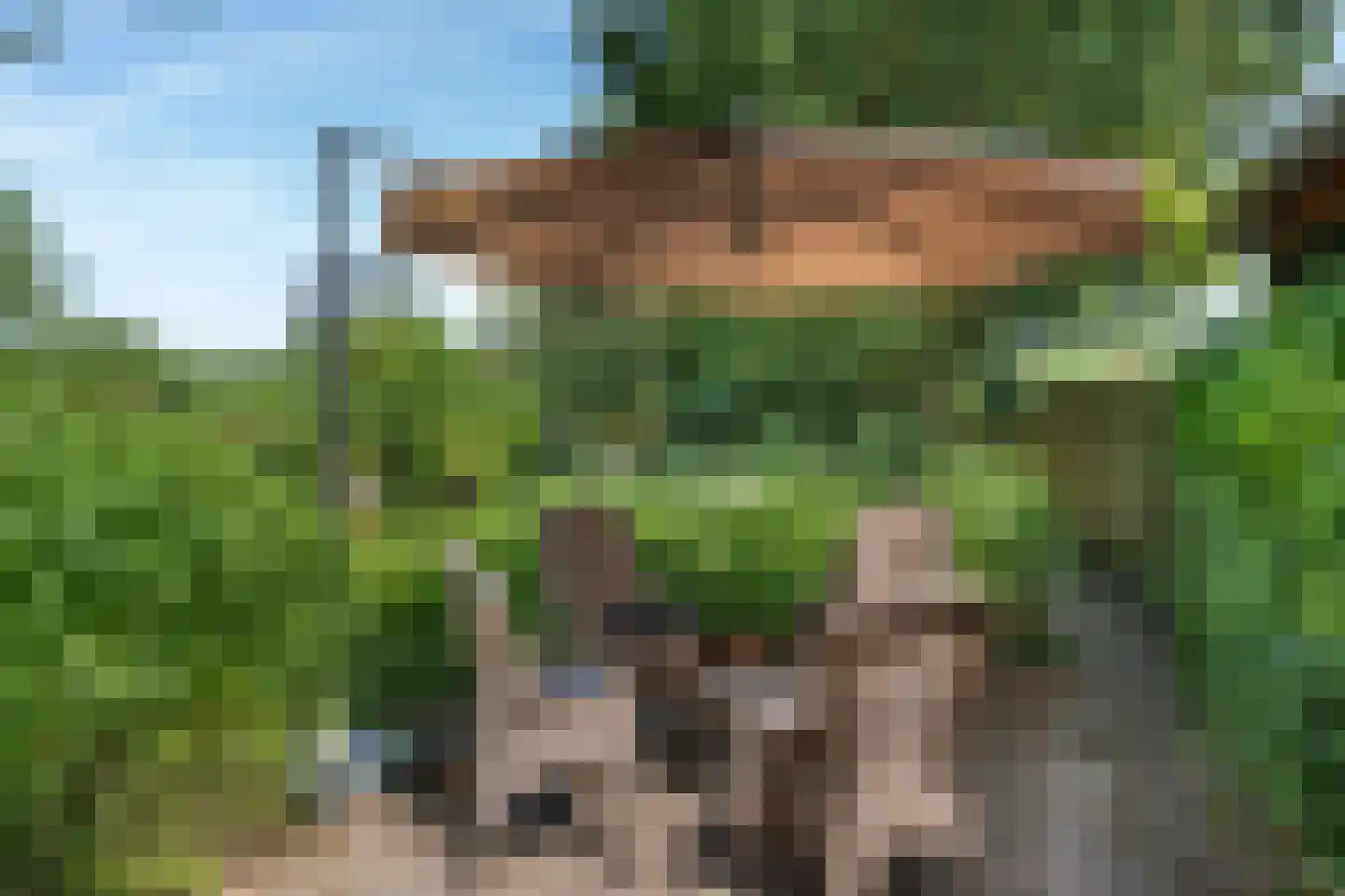 Kerkeind 18 Gemonde thumbnail 35