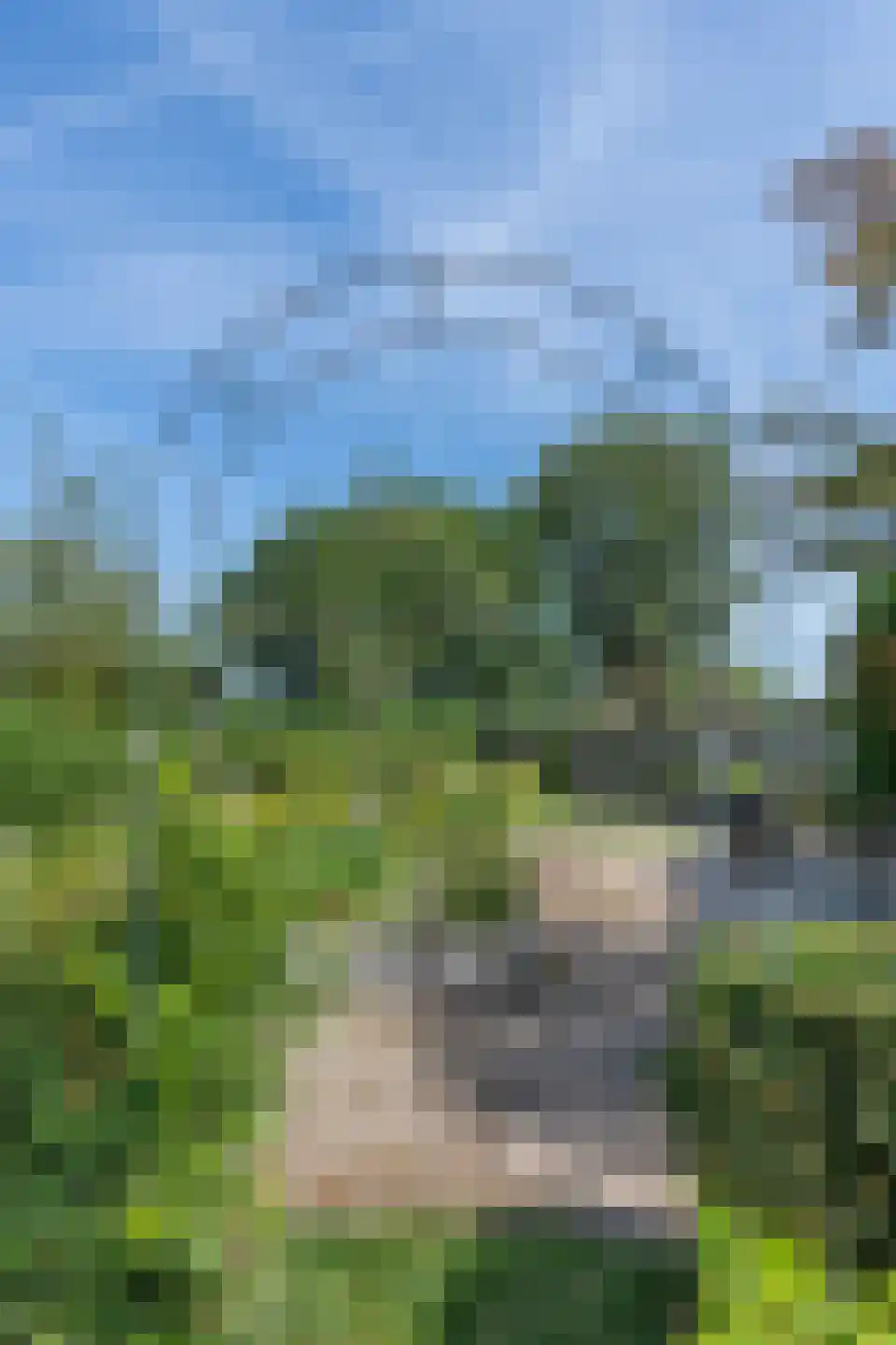 Kerkeind 18 Gemonde thumbnail 37
